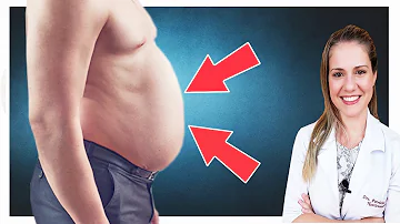 O que pode ser quando o gato está com a barriga muito grande?