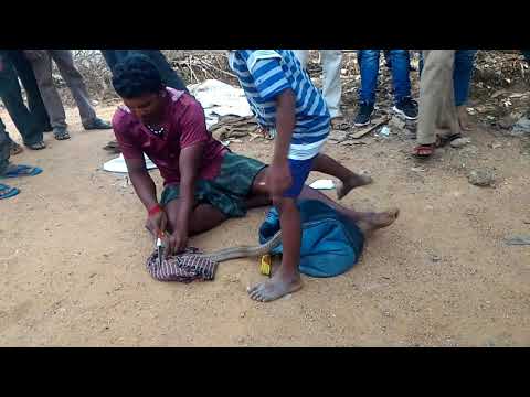 طريقه استخراج الجوهره من الثعابين 