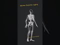 Blender Character rigging and movement #blender3danimation  #blendergameengine #blender