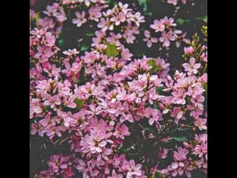 [TJ노래방라운지] 지나가는비 - 오은주
