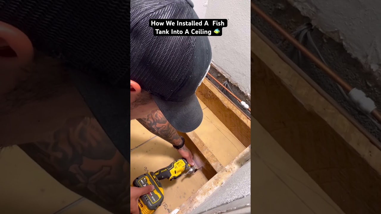 Installing Fish Tank In Ceiling 🐠