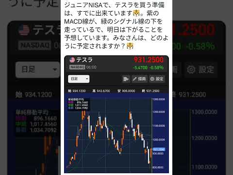 ジュニアNISAでテスラを購入しようと思っています。