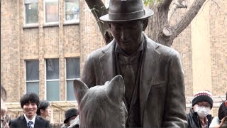 Unveiling of statue depicting Hachi and his owner screenshot 4