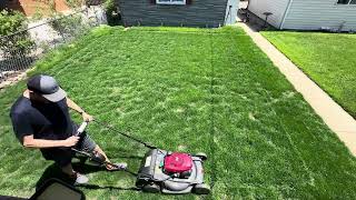 WINTERKILL: Lawn did not recover from Winter