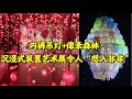 【4.12 美西5:00直播】沉浸式艺术展算“真艺术”么？从Pipilotti Rist展的内裤吊灯聊起