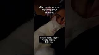Σπίτι σου 😂 #κατοικιδια