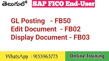 Gl Posting ,Edit and Display FB50,FB02,FB03 |CHAS