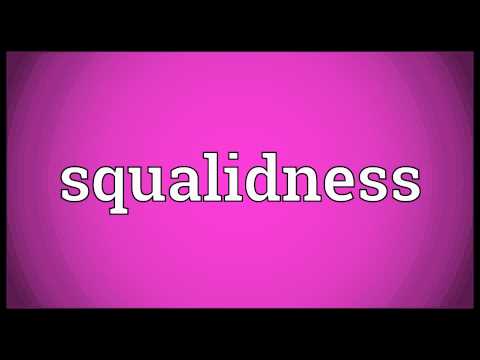 Header of squalidness