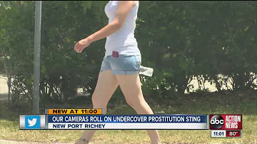 New Port Richey undercover prostitution sting