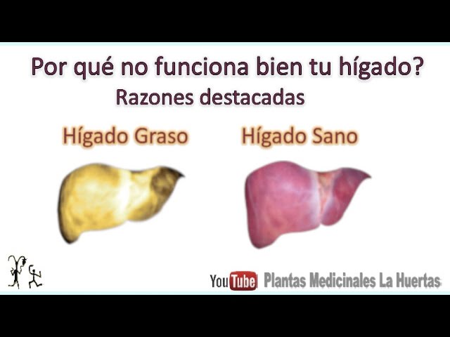 que pasa si el higado funciona mal que pasa si el higado funciona mal