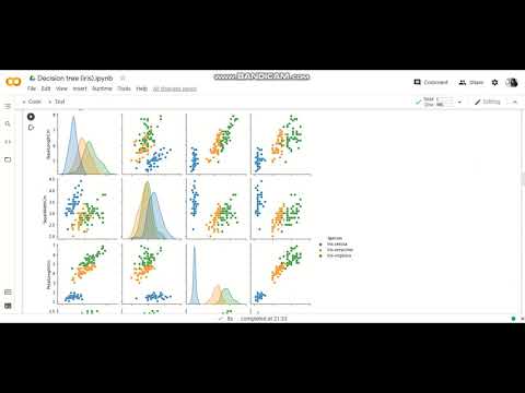 Prediction using Decision Tree Algorithm