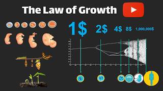 THE LAW OF GROWTH : From Order to Chaos