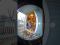 Funny dog #ai #dog #cutedog #aivideo