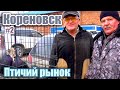 Птичий рынок. Кореновск. Часть 2. [14.03.2021]