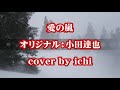 愛の嵐/小田達也 cover by ichi