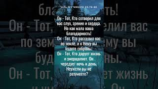 Аль Му’минун 23:78-80 #аллах #коран #сура #аят