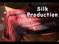 Exploring Silk Production in Vietnam