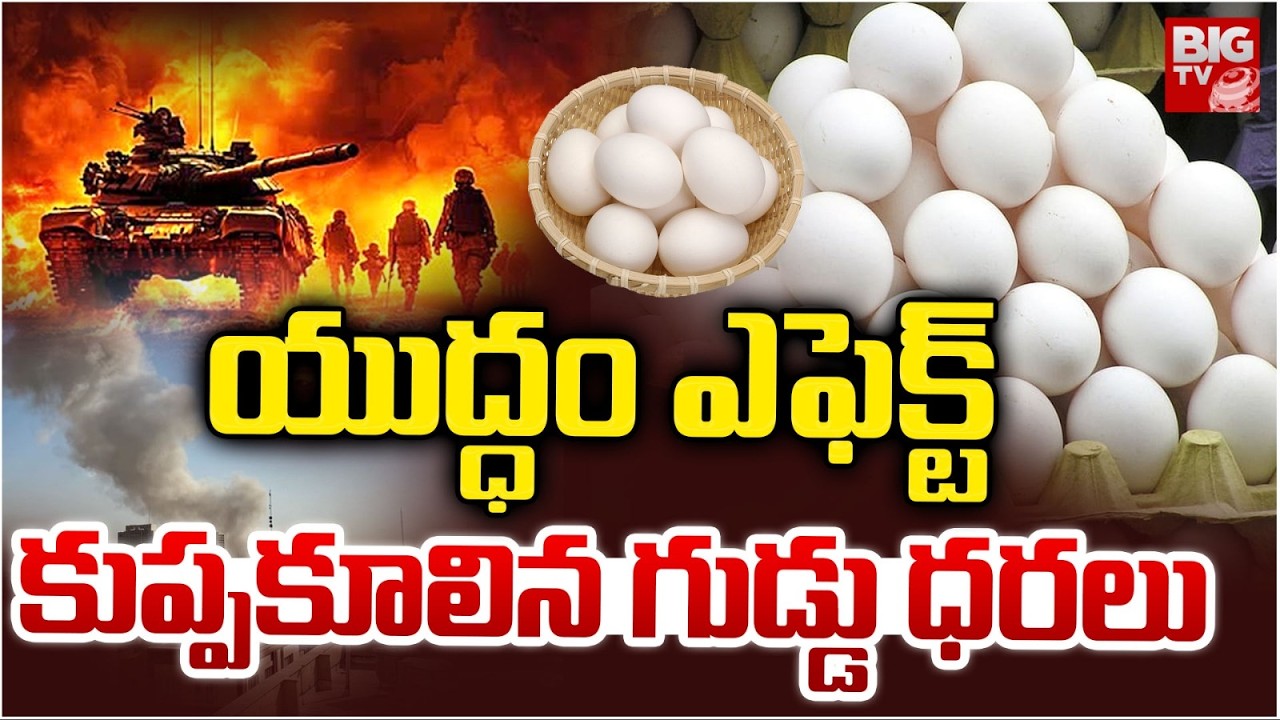 కుప్పకూలిన గుడ్డు ధరలు | EGG Prices Drop Due To War Effect | BIG TV Kadapa