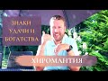 Особые знаки удачи и богатства | Шрамы | Связь Астрологии и Хиромантии