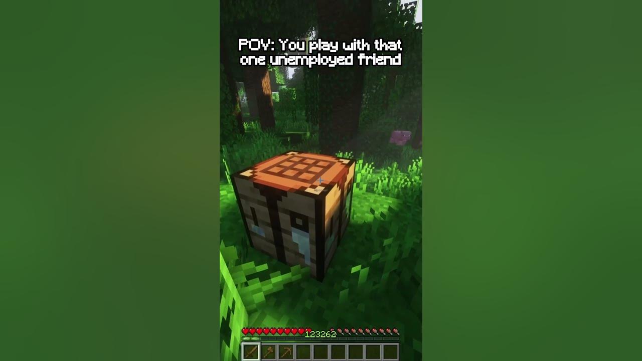 POV: You play with that one unemployed friend  #feedshorts #minecraft #viralvideo