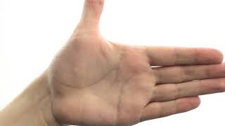 Thumb Adduction/Abduction