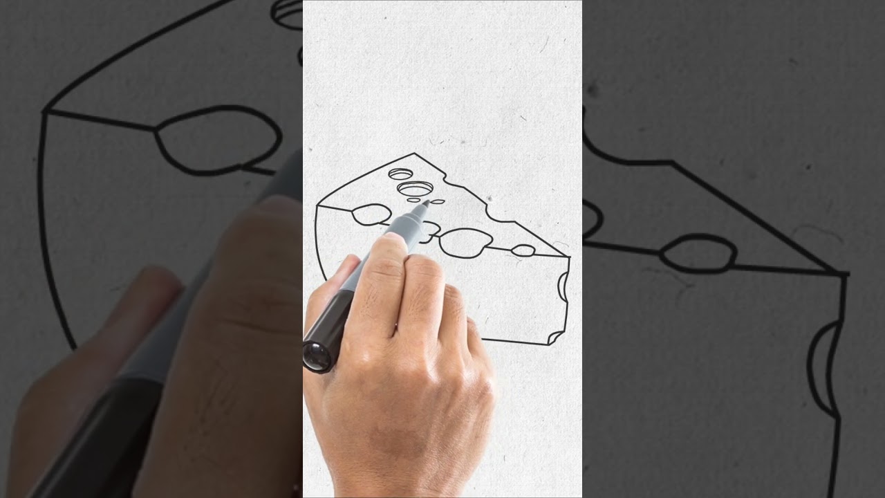 Drawing Maasdam Cheese