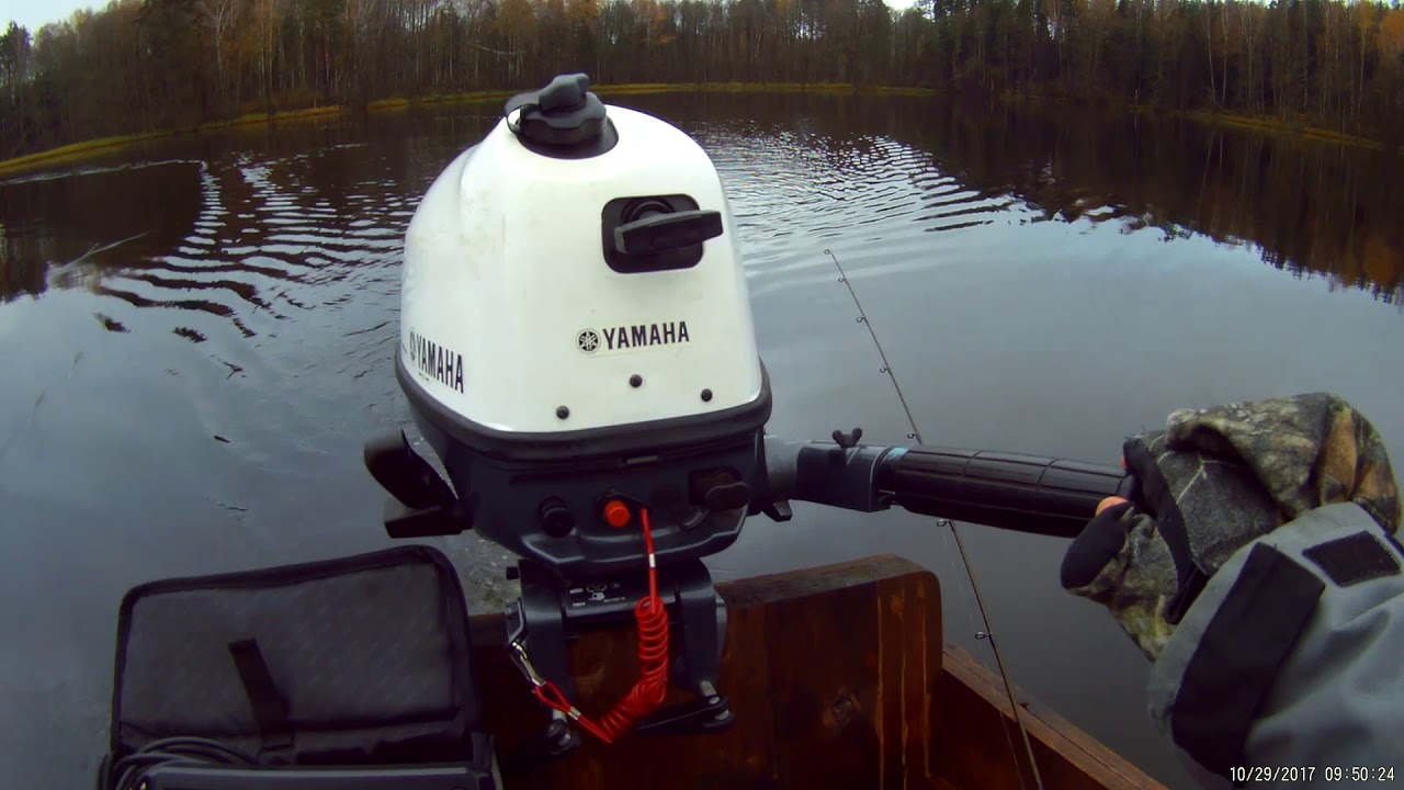 Lydekų velkiavimas rudenį 2 dalis