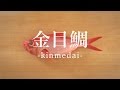 金目鯛（きんめだい）のさばき方 - How to filet Splendid Alfonsino -｜日本さばけるプロジェクト