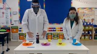 The Scientific Method with an Apple Experiment