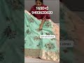 Digital kota sarees with grand munia borders along classy stone work Grand digital  pallu&amp; blouse
