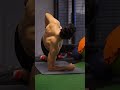 Taş Gibi DELTOIDLER İçin Omuz Hareketleri I Rear Deltoid I Calisthenics Omuz Antrenmanı #shorts