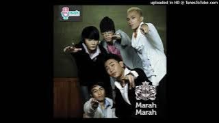 Wonder Boys - Marah Marah