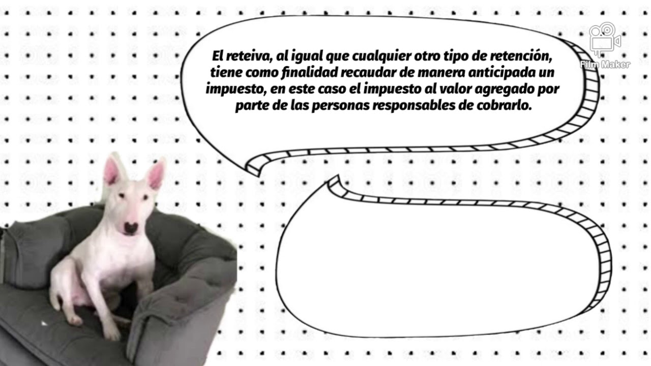 Reteiva (explicado por Walter) || Vanessa Torres Pardo