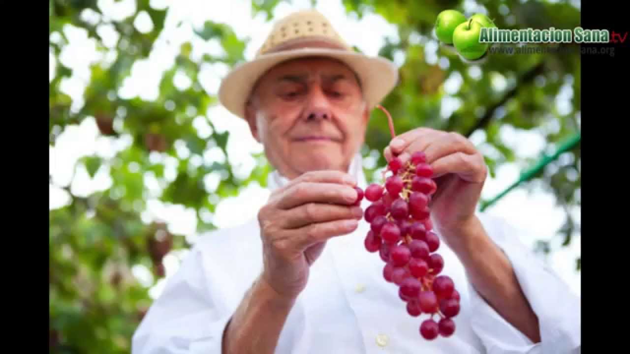 Alimentos que hemos olvidado medicina natural para la gastritis