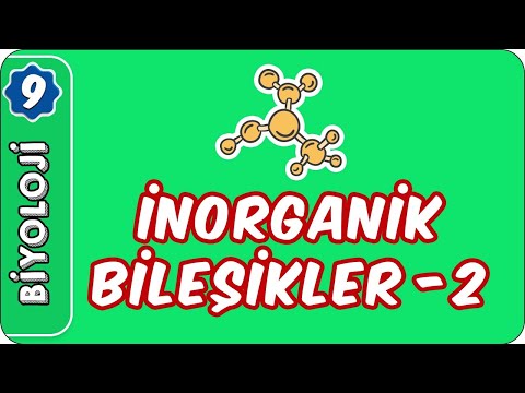 İnorganik Bileşikler- 2  | 9. Sınıf Biyoloji