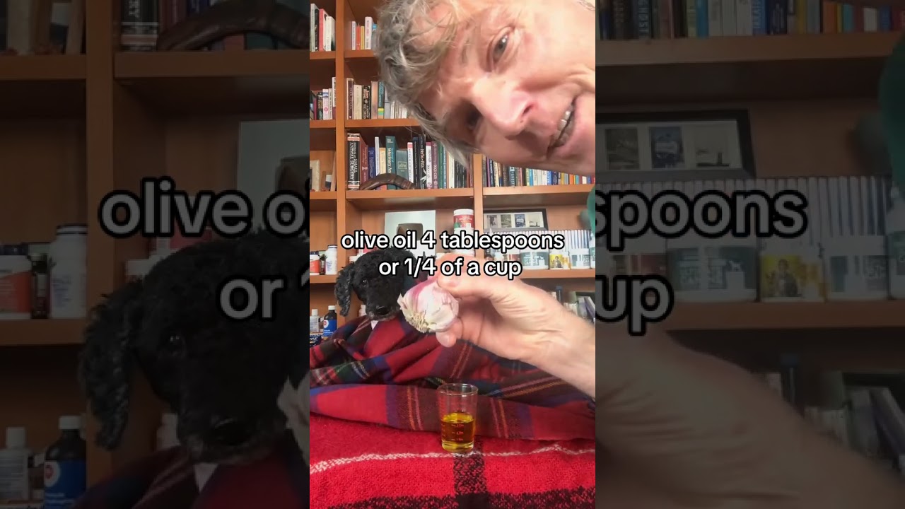 Pet Ear Mite infection? Simple 2 ingredient kitchen remedy!