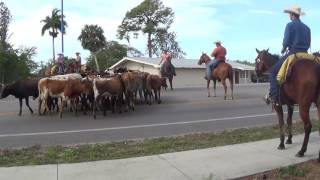 Pioneer Days - Immokalee Museum At Roberts Pioneer Ranch