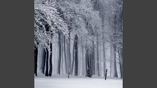 Snow in Love
