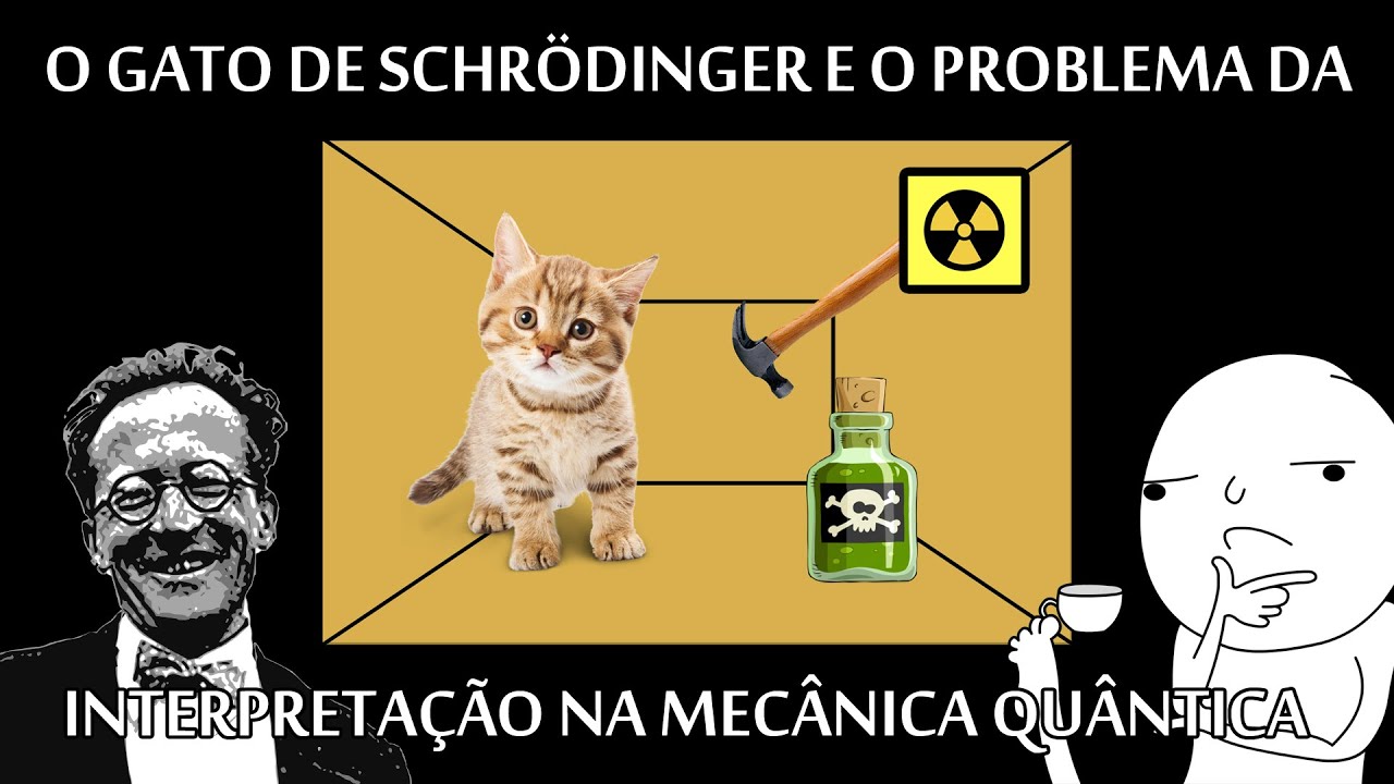 O que é o Gato de Schrödinger?