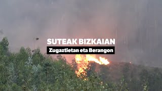 Suteak Bizkaian