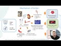 Curespec CEO Presentation: Pioneering the Future of Medical Therapy with eHAT