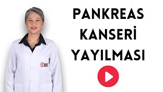 Pankreas Kanseri Yayılma Süreci - Prof Dr Suna Çokmert