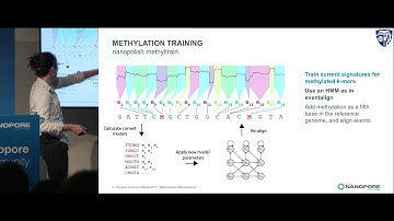 Yunfan Fan│Bacterial DNA modifications with Nanopore Sequencing