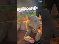 White Lion Almost Ate Me 😳. #lion #whitelion #wildlife #animals #nature #scary #viral #shorts #fyp
