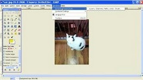GIMP Tutorial : How to Open a Layers Toolbar on GIMP