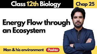 Energy flow in an Ecosystem | Class 12th Biology | Chapter 25