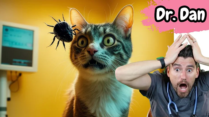 How to diagnose and treat ear MITES in the CAT.