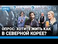 Хотите жить, как в Северной Корее? Опрос в Москве