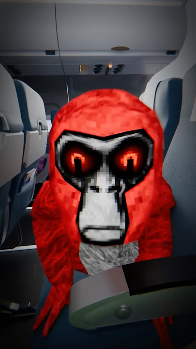 ✈️ Ghost Found On Plane… #gorillatag