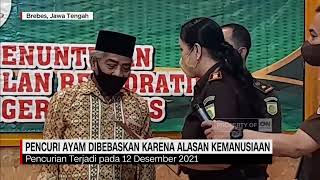 Pencuri Ayam Dibebaskan Karena Alasan Kemanusiaan